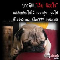 คำคม เหงาโคตร โสดสนิท screenshot 3