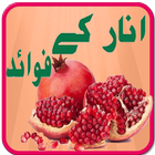 Pomegranate (Anar)  K Fwaid icon