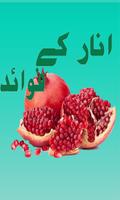 Pomegranate (Anar)  K Fwaid پوسٹر