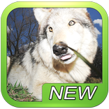 Wolf Wolves Puzzle Game