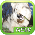 Wolf Wolves Puzzle Game আইকন