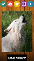 Wolf Wolves Puzzle Game syot layar 1