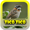 O Canto do Tico tico APK