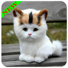 Смешное изображение котенка иконка
