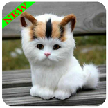 Смешное изображение котенка