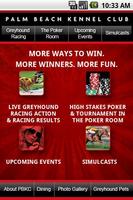 Palm Beach Kennel Club Affiche