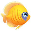 Pretty Fish aplikacja