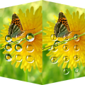 Green Applock Theme Butterfly