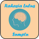 Rahasia Lulus SNMPTN APK