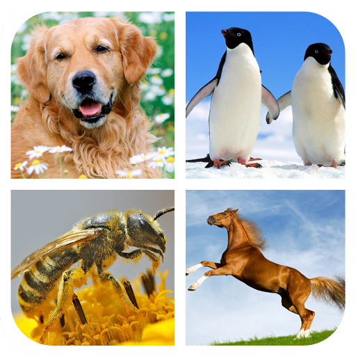 Animal Sounds - Ringtones