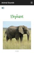Animal Sounds 截图 2