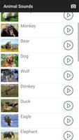 Animal Sounds 截图 3