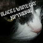 Black&White Cat XpTheme-icoon