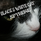 Black&White Cat XpTheme 图标