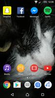 Black&White Cat XpTheme 海報