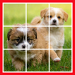 Puppy Puzzle