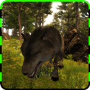 APK Wild Life - Wolf