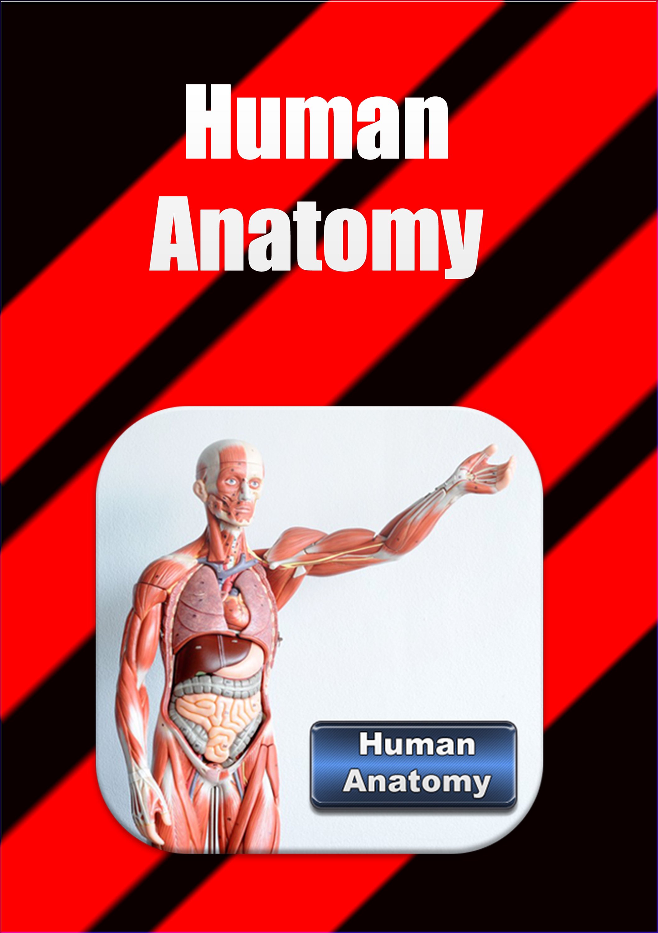 Human Anatomy - Free APK for Android Download
