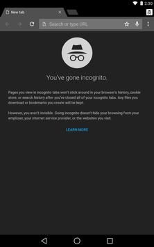 Google Chrome: Cepat & Aman apk screenshot