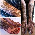 Pakistani/Dubai Mehndi Designs