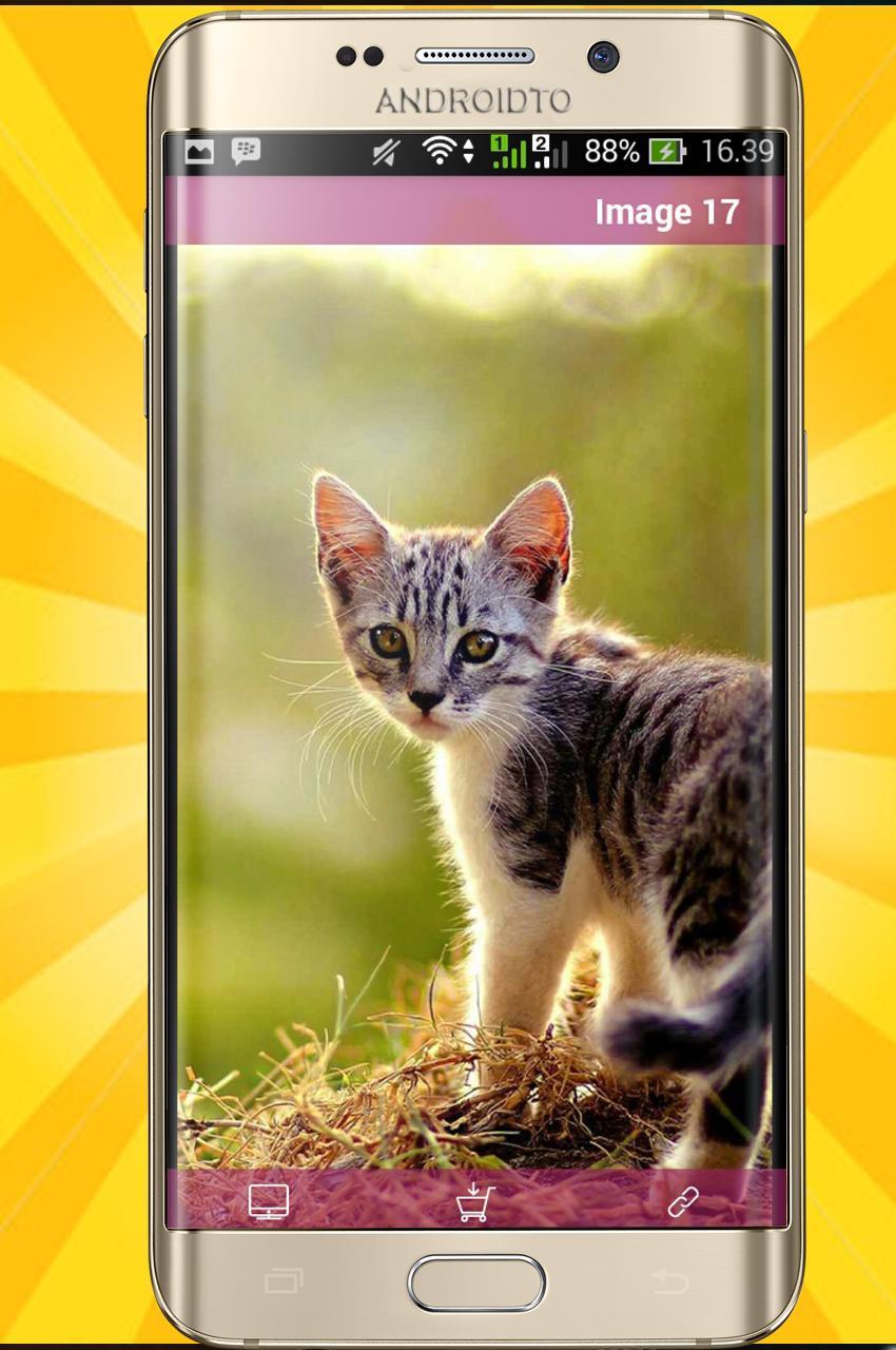 Android 用の かわいい動物の壁紙8k Apk をダウンロード