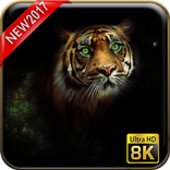 老虎壁纸8K