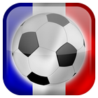 Euro 2016 Live Wallpaper icon