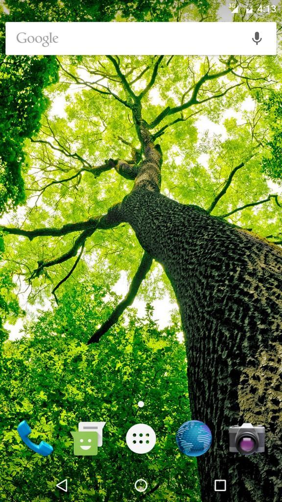 wallpapers Fond D ?Cran Arbre fonds d ecran arbre pour android