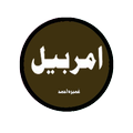 Amar Bail Novel by Umera Ahmed