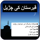 Qabristan Ki Churail APK