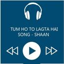 APK Shaan's Tum Ho Toh Lagta Song