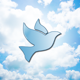 Memoriam Cards icon