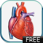 Blood Pressure lite أيقونة