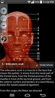 Anatomy Muscles تصوير الشاشة 2