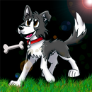 Chien mange des protéine APK