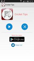Cricket Tips 海报