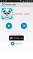 Animals Jokes پوسٹر