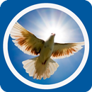 Virtue Prayers APK