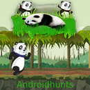 Coon Bear Runner APK