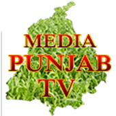 MediaPunjab news أيقونة