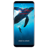 Blue Whale Lock Screen icône