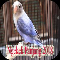 Lovebird Ngekek Panjang 2018 capture d'écran 2