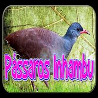 Cantos de Pássaros Inhambu الملصق