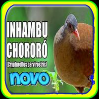 Novo inhambu chororo постер