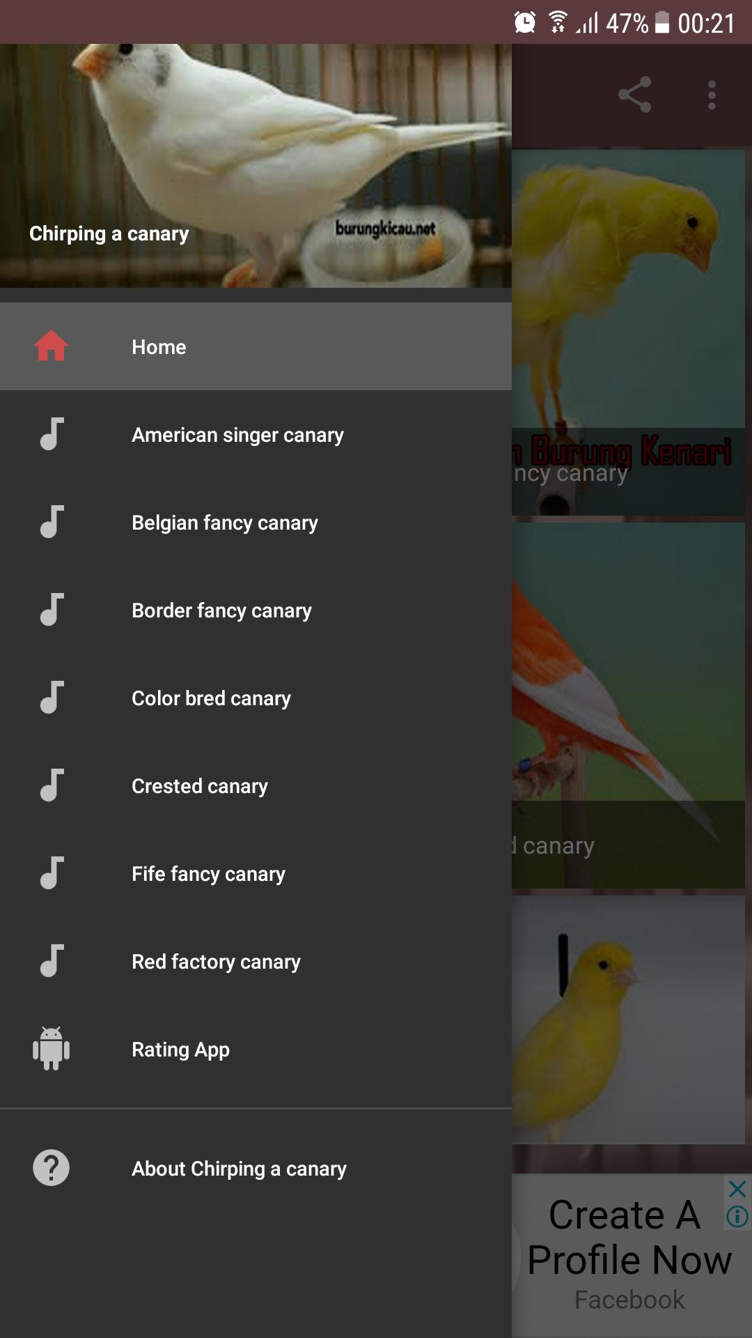Canary 1.20 1 Canary 1.20 1