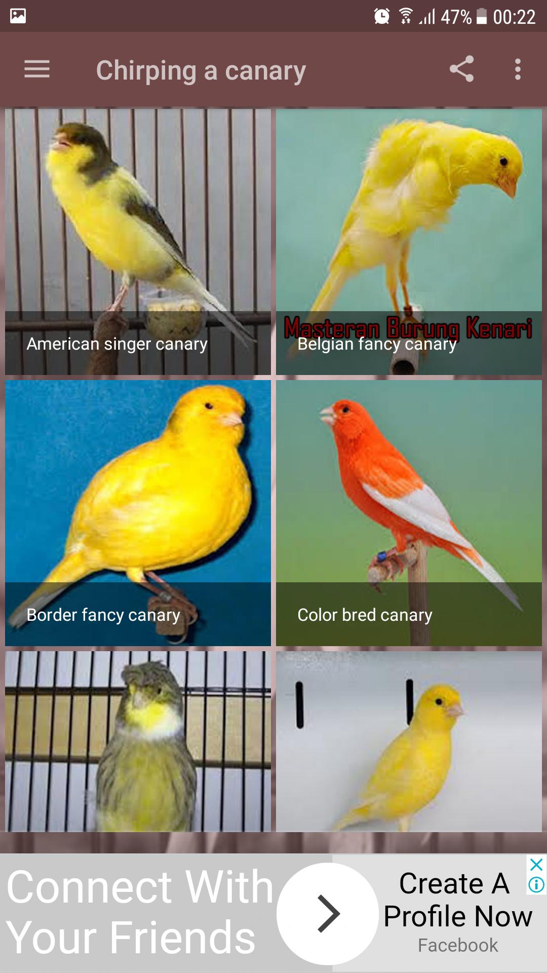 Canary 1.20 1 Canary 1.20 1