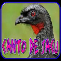 Canto do Jacu bài đăng
