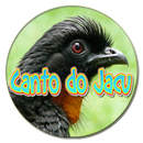 canto do jacu-APK