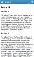 U.S. Constitution Affiche