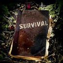 Disaster Survival. APK